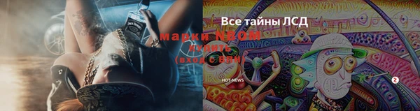 ГАЛЛЮЦИНОГЕННЫЕ ГРИБЫ Зерноград