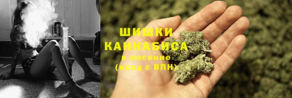 крисы Зеленокумск