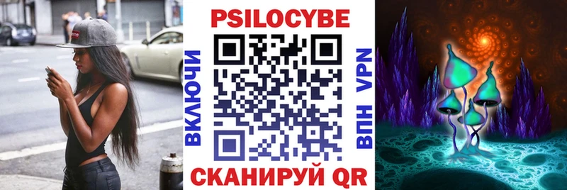 Купить закладки  Избербаш  Псилоцибиновые грибы MAGIC MUSHROOMS 